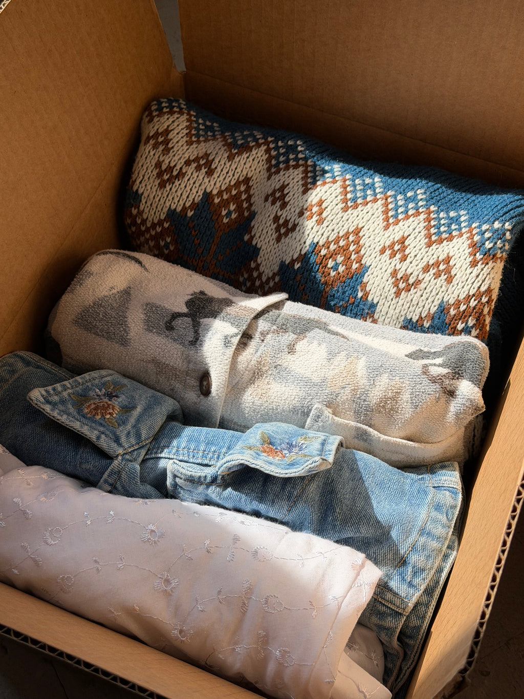 Western Aesthetic Mystery Bundle