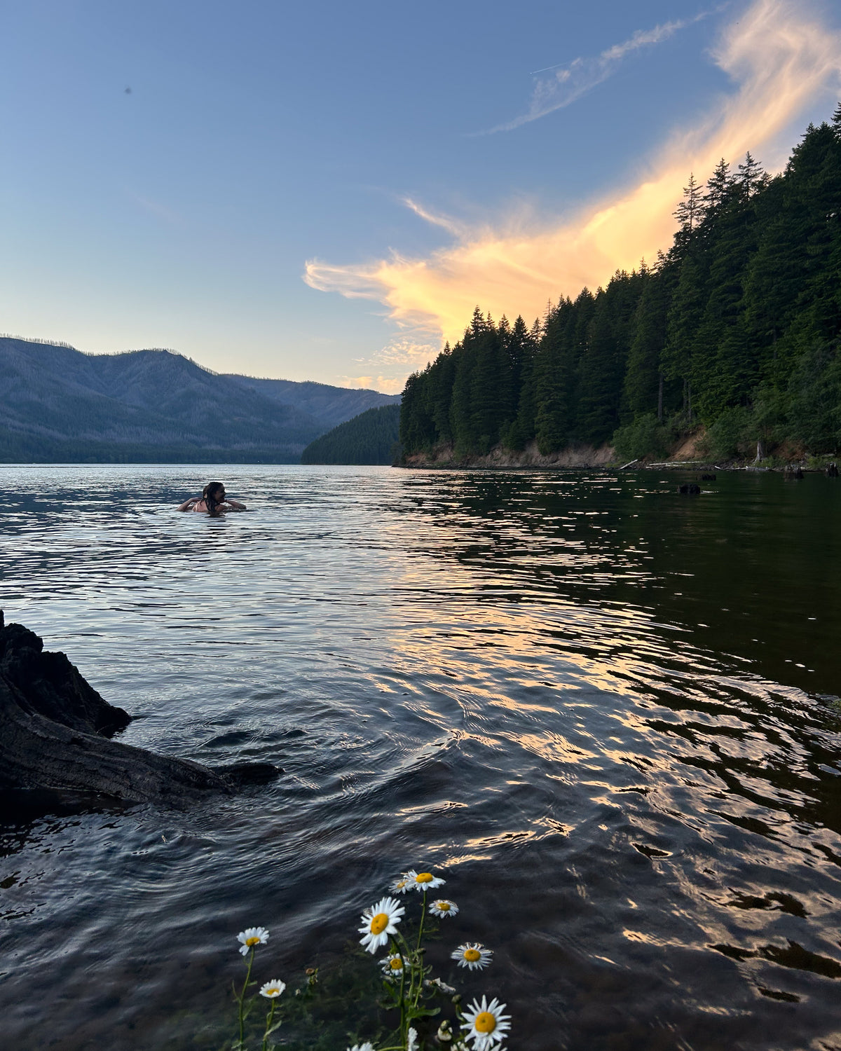 Still lake at dusk with wild daisies along the bank, the outdoors mood behind the granola aesthetic