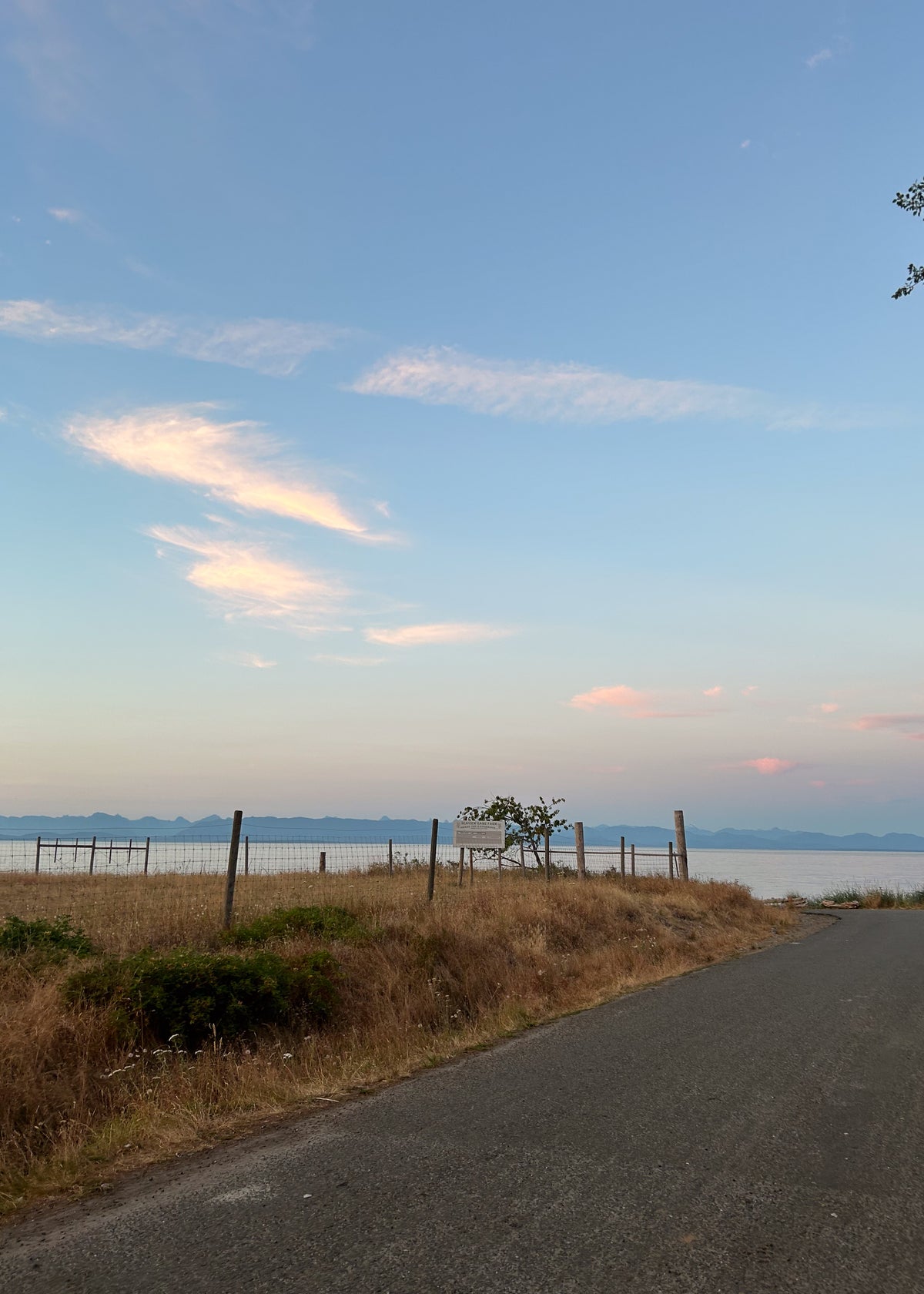 Sunset over a coastal road with dry grass and a fence line, the outdoors mood behind the granola aesthetic